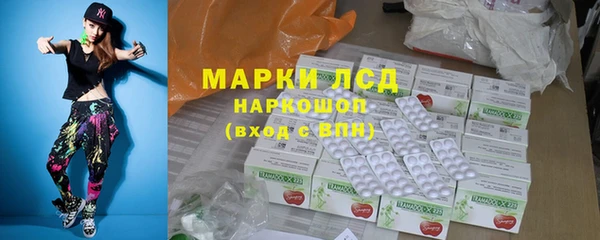 Альфа ПВП Гусев