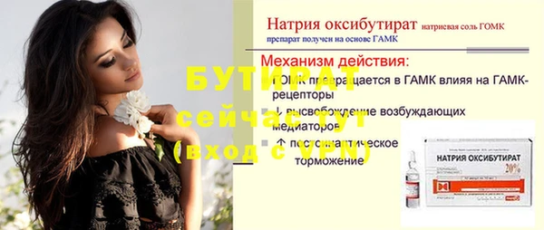 амф Гусь-Хрустальный