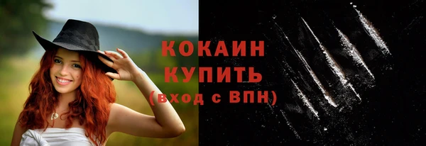 амф Гусь-Хрустальный
