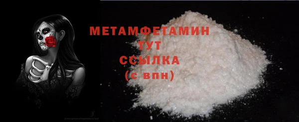 амф Гусь-Хрустальный