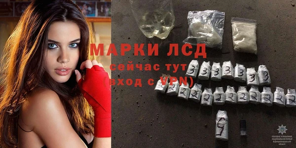 амф Гусь-Хрустальный