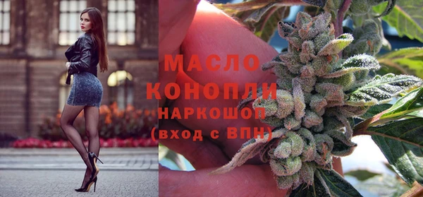 амф Гусь-Хрустальный