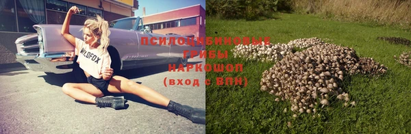 амф Гусь-Хрустальный