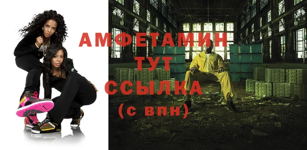 амф Гусь-Хрустальный