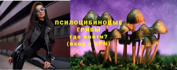 ALPHA PVP Гусиноозёрск