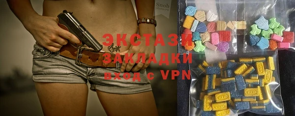 амф Гусь-Хрустальный